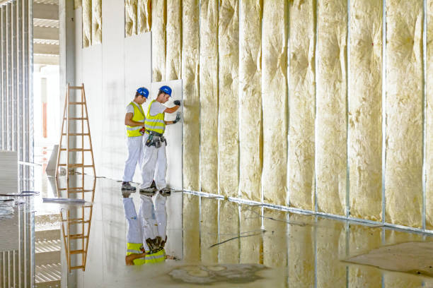 Best Insulation for Specific Applications in Cashion, OK